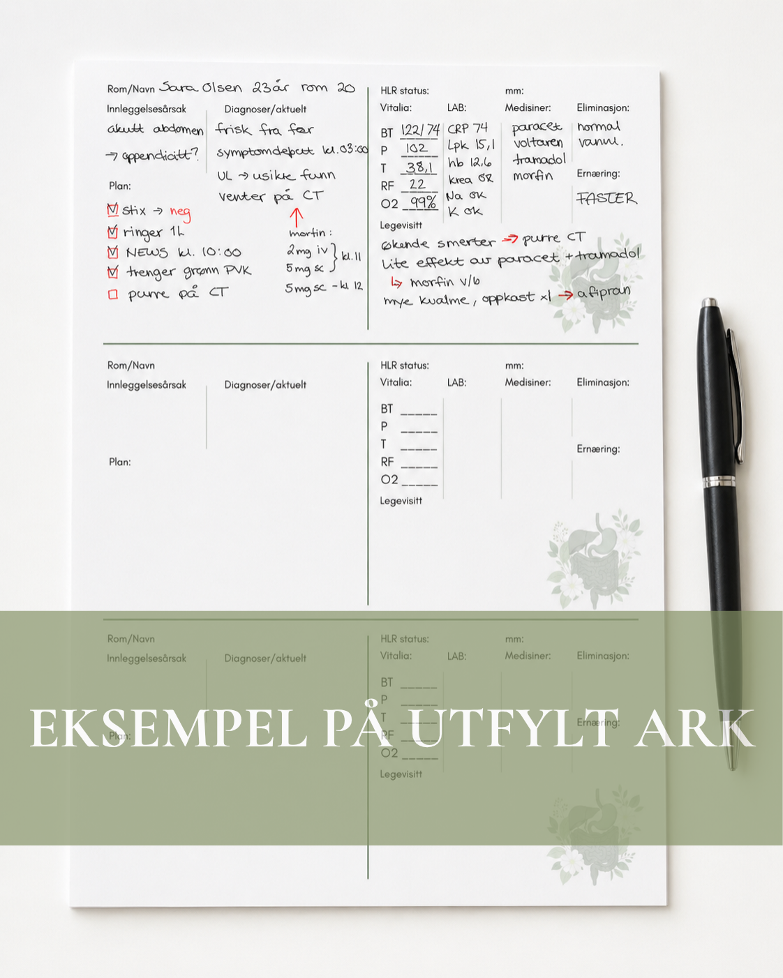 Rapportark - Gastro