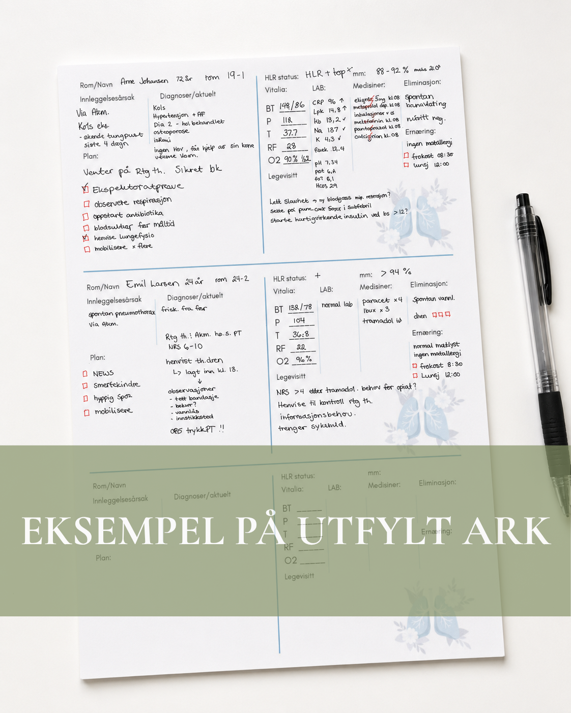 Rapportark - Lunge