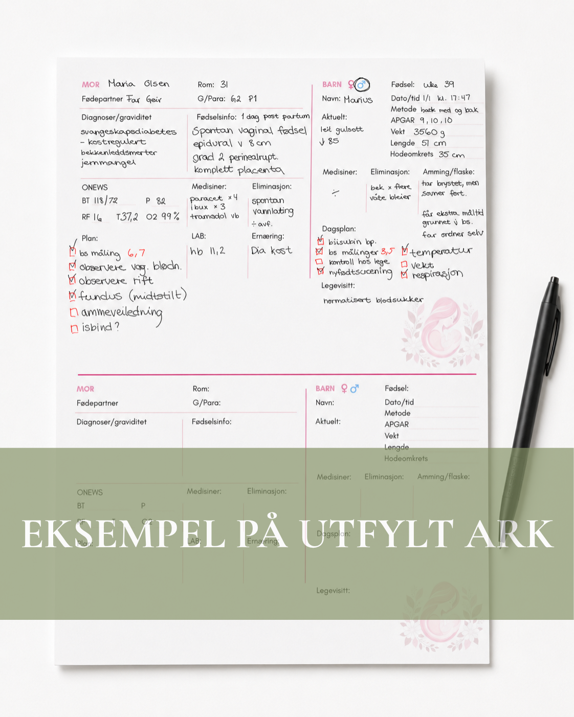Rapportark - Føde/Barsel
