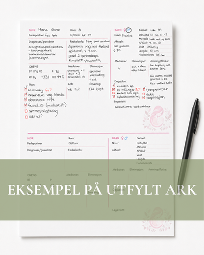 Rapportark - Føde/Barsel