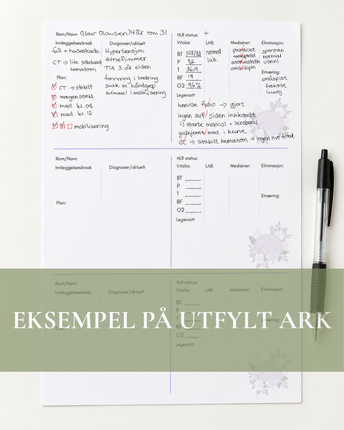 Rapportark - Nevro