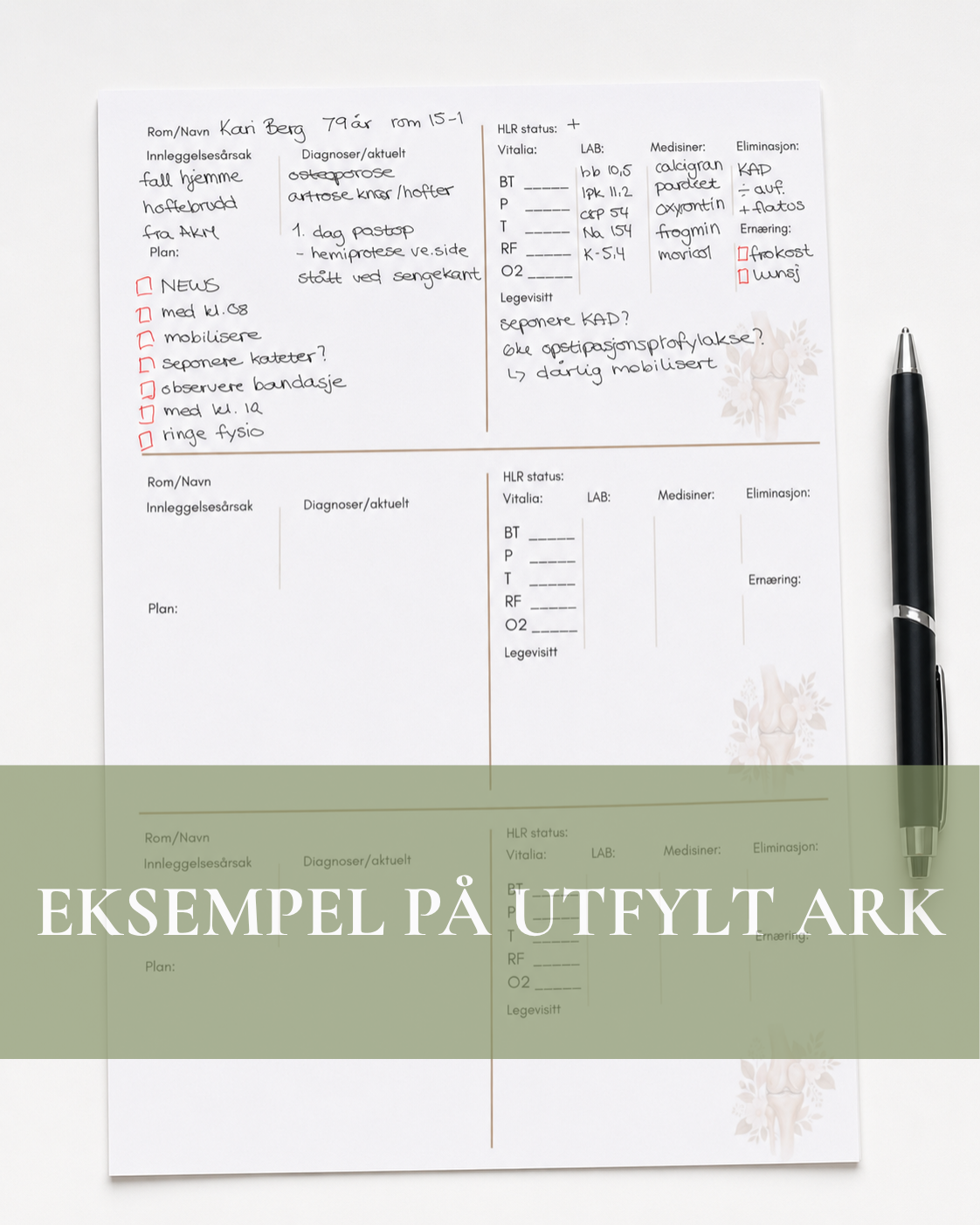 Rapportark - Orto
